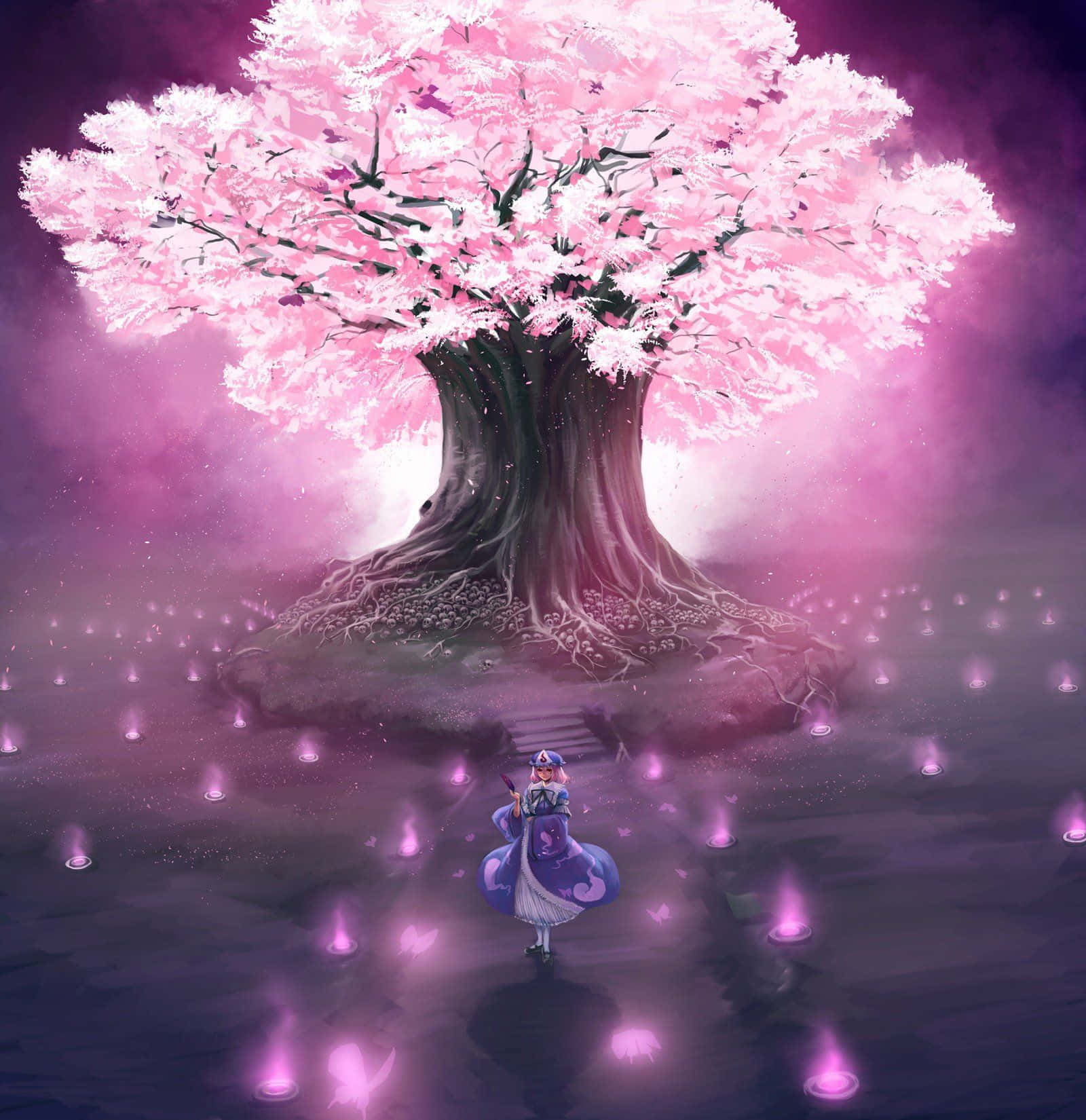 Join Sakura’s Adventure!