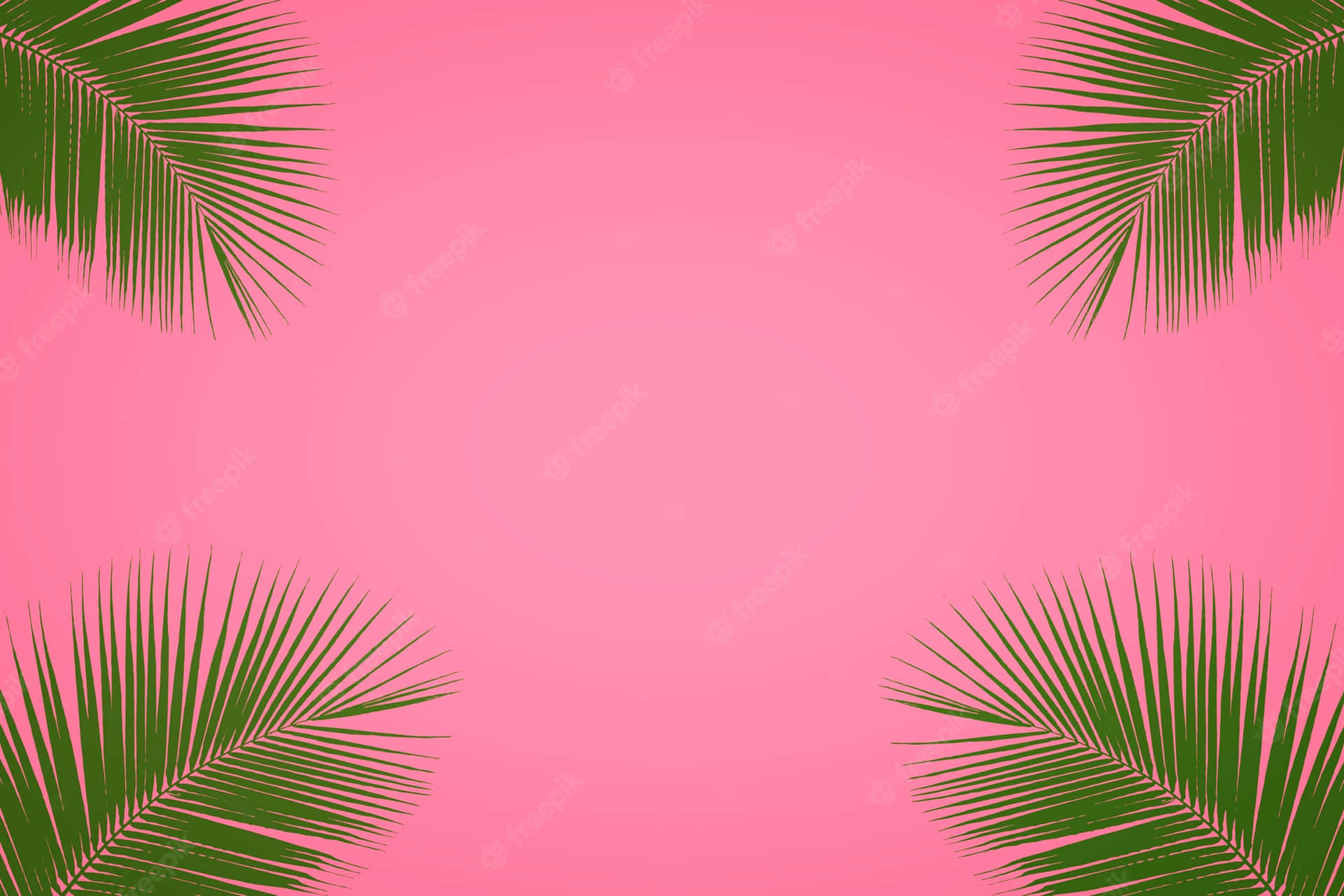 Join Us For The Ultimate Pink Summer Adventure! Background