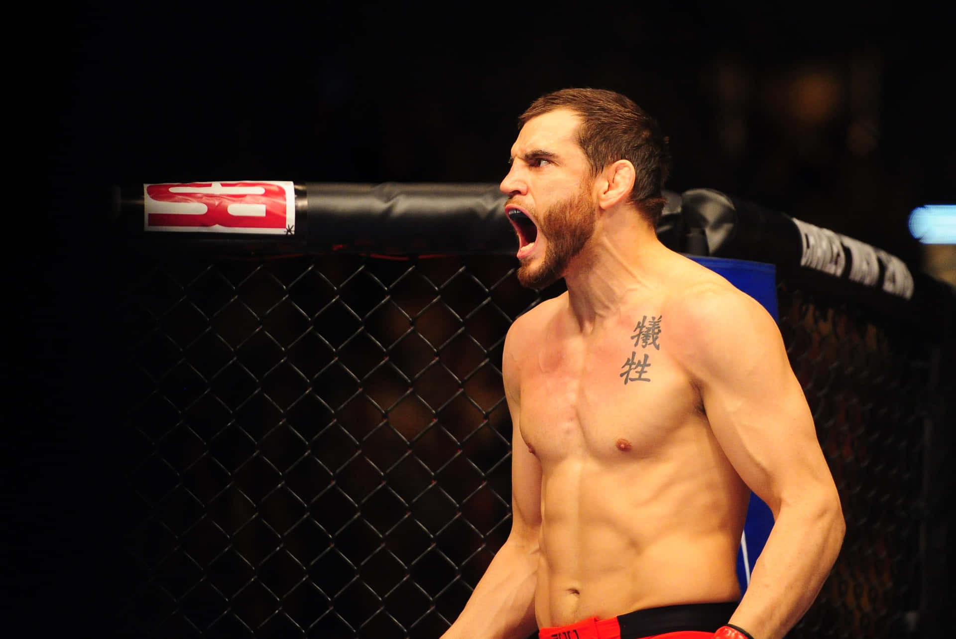 Jon Fitch Screaming Fight Against Johny Hendricks