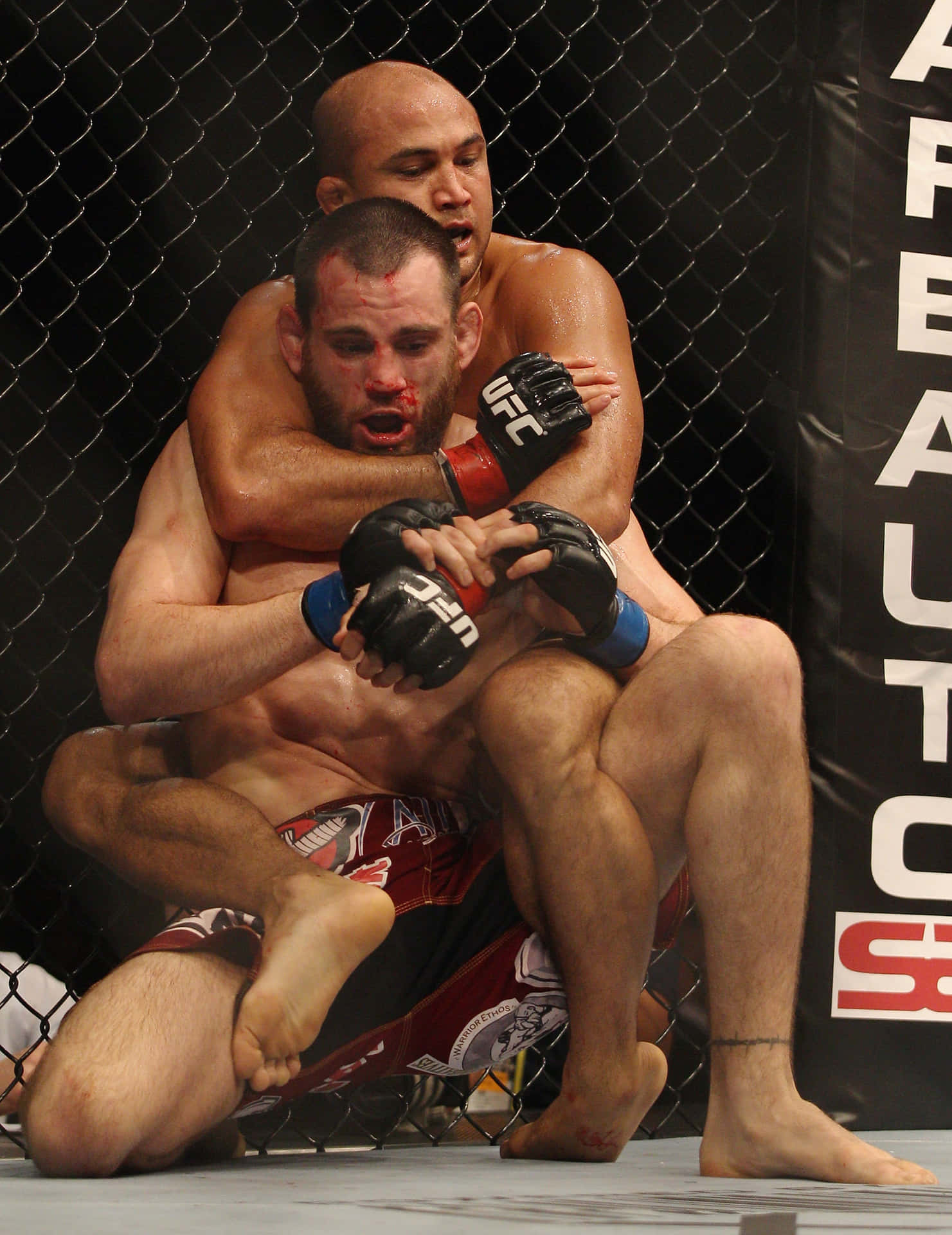 Jon Fitch Vs. George St-pierre Ufc 87: Seek And Destroy