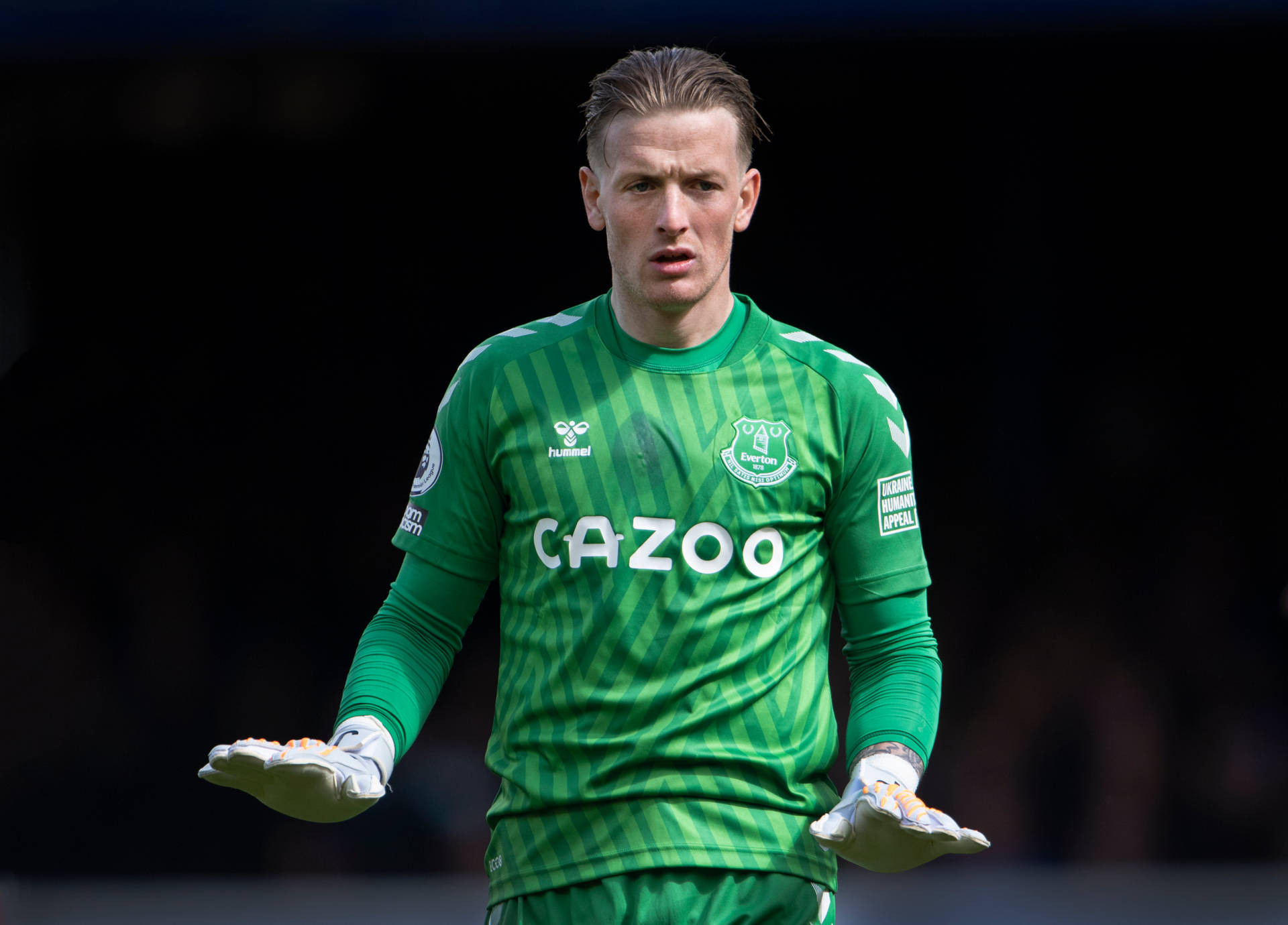 Jordan Pickford In Green Uniform Background