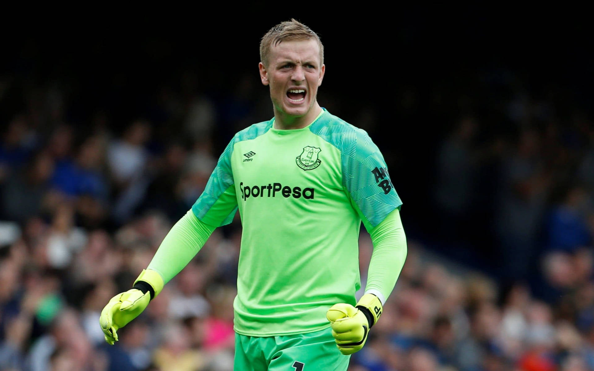 Jordan Pickford In Neon Green Jersey Background