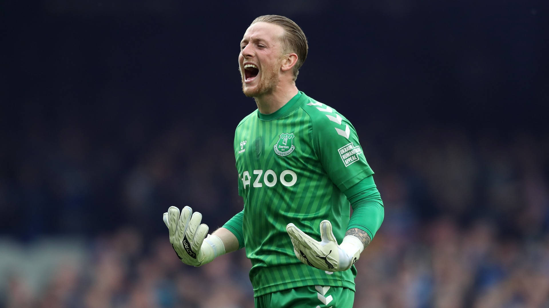 Jordan Pickford Wearing Green Gloves Background