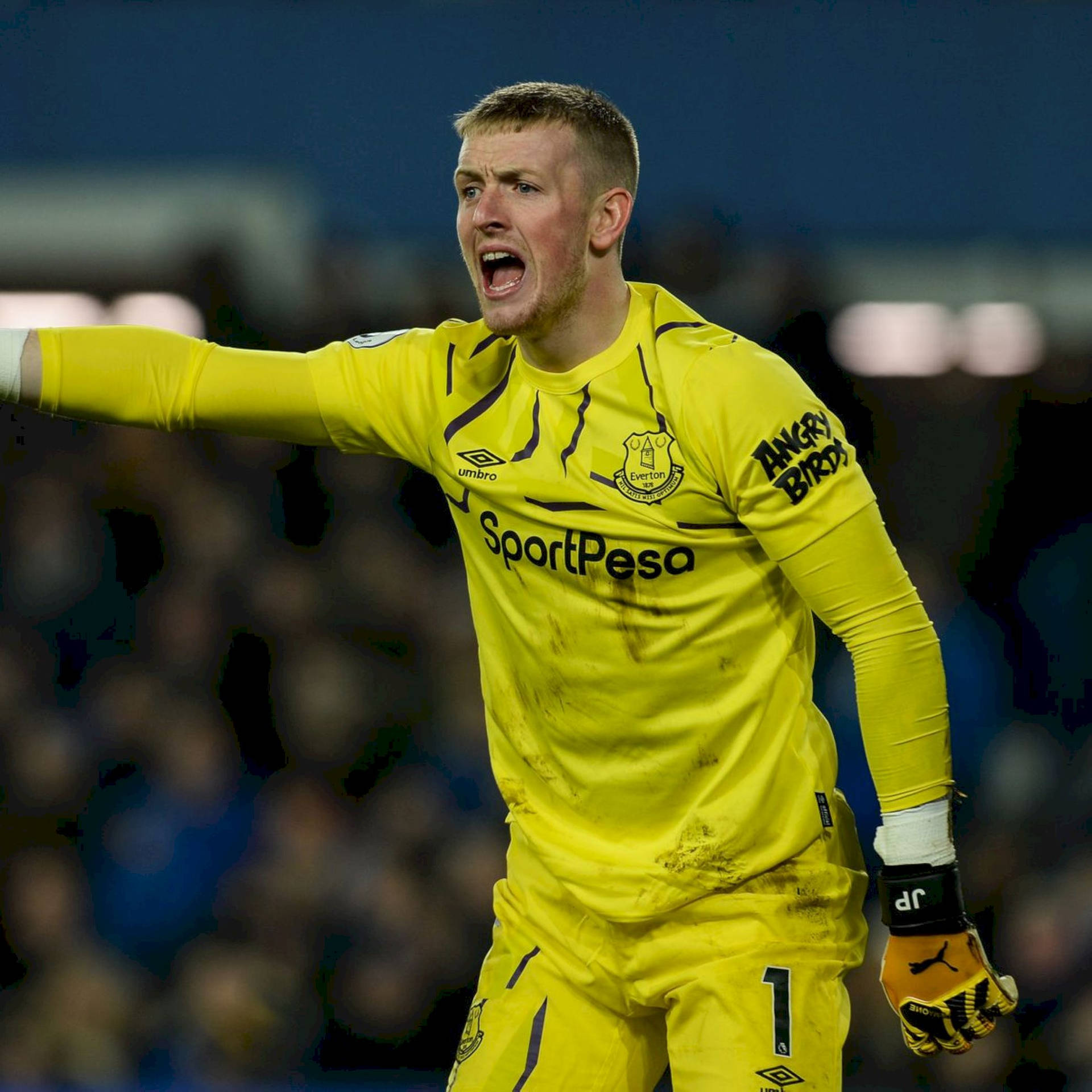 Jordan Pickford Wearing Yellow Uniform Background