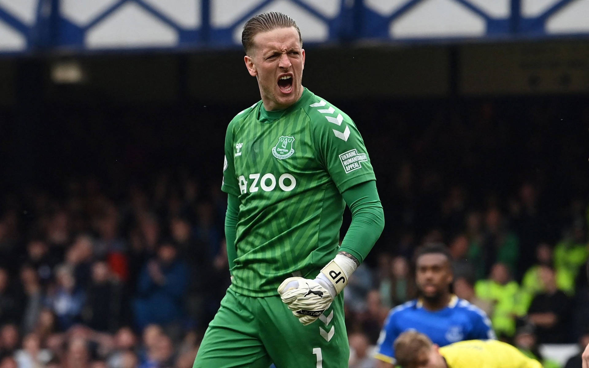 Jordan Pickford Yelling In Green Background