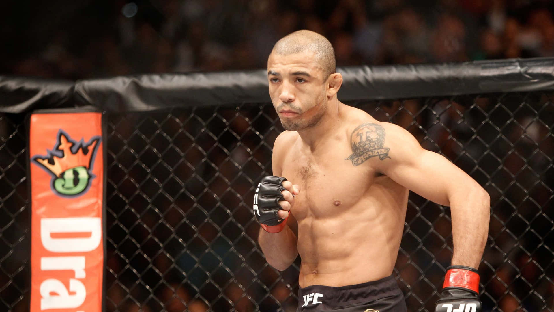 Jose Aldo Mma Ufc Fighter Background