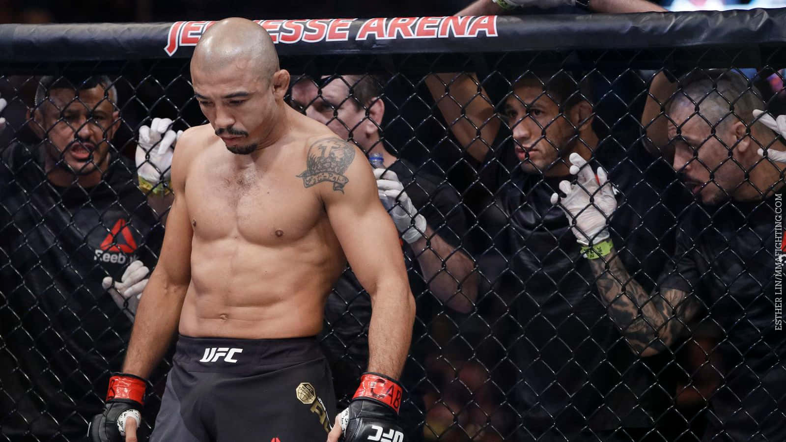 Jose Aldo Mmaist Background