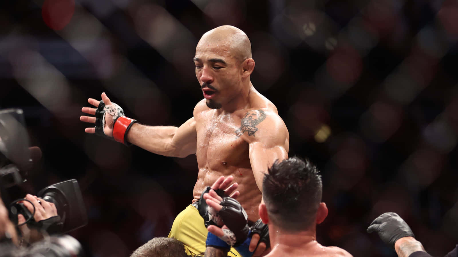 José Aldo Ufc Champ Background