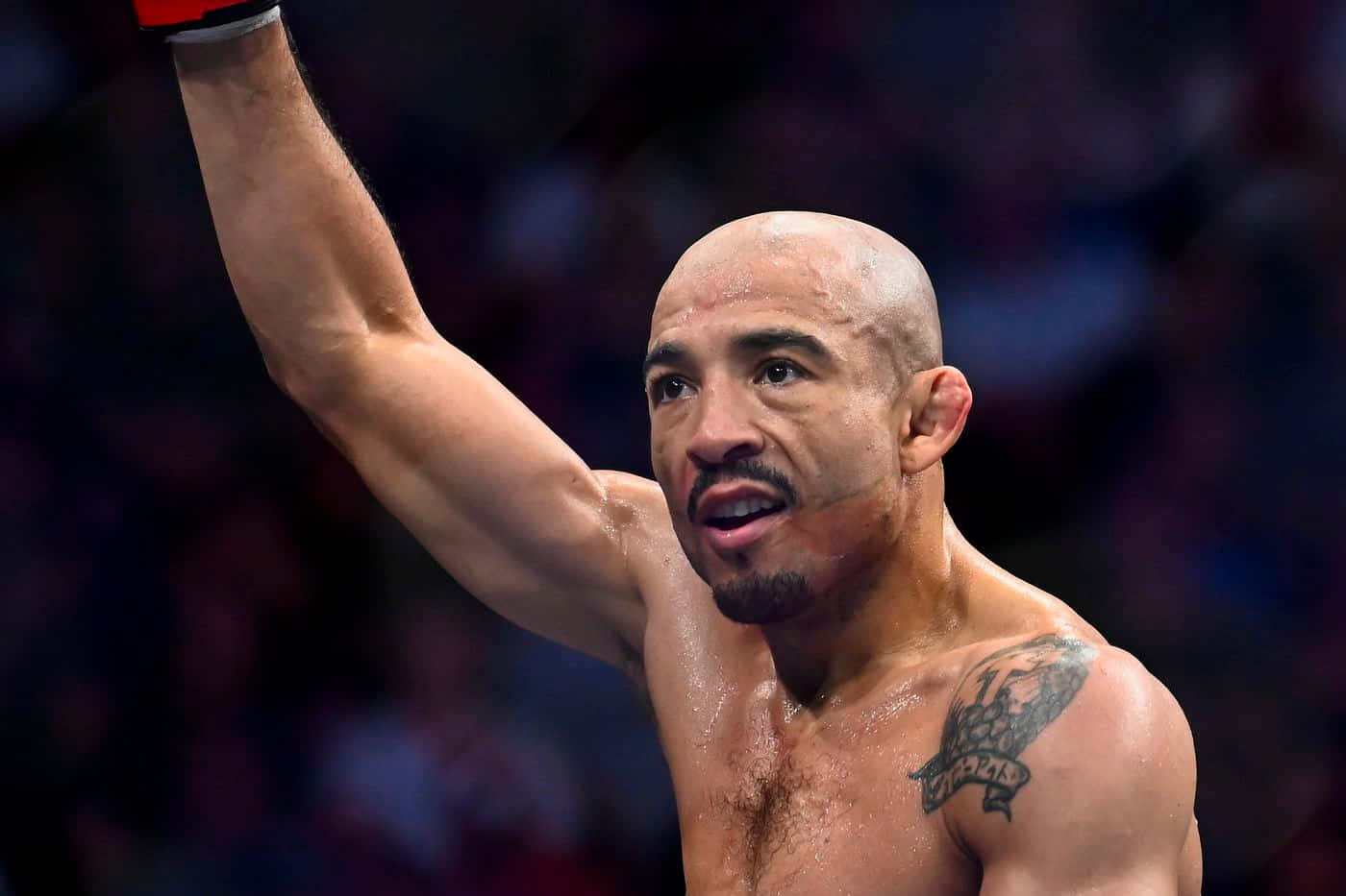 José Aldo Ufc Legend