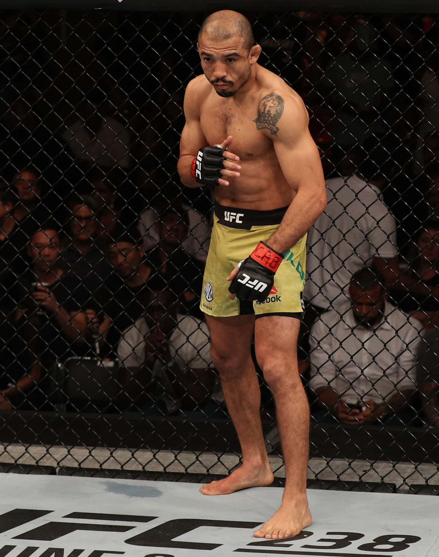 José Aldo - Ufc's Toughest Featherweight Champion