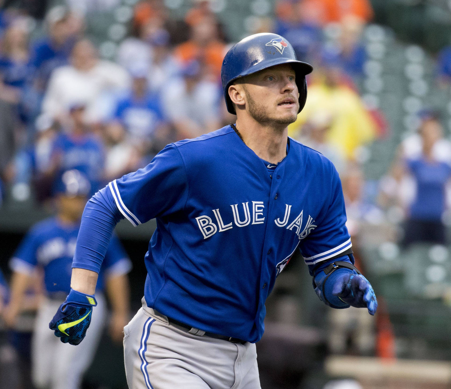 Josh Donaldson In Blue Jersey