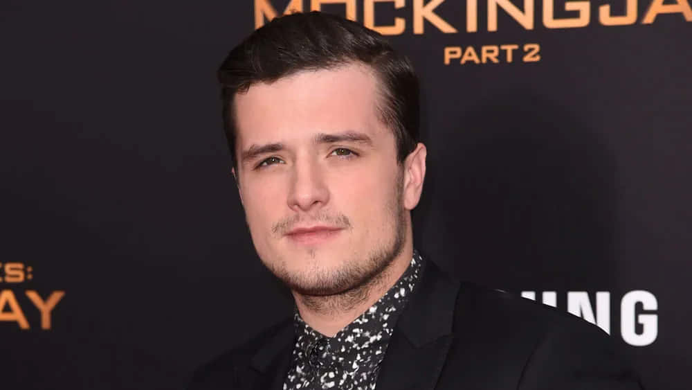 Josh Hutcherson Mockingjay Event Background