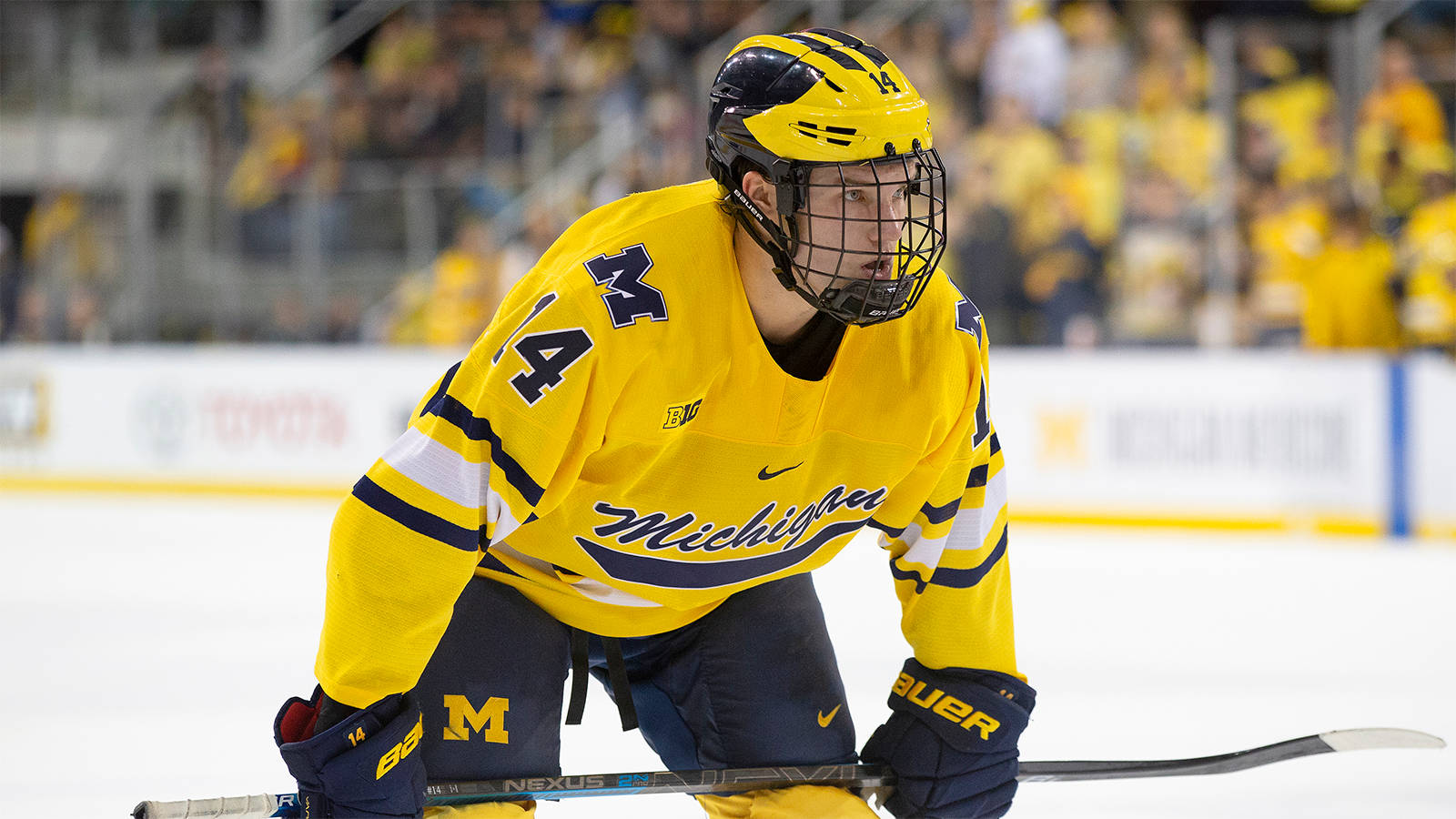 Josh Norris University Of Michigan Ice Hockey Roster Background