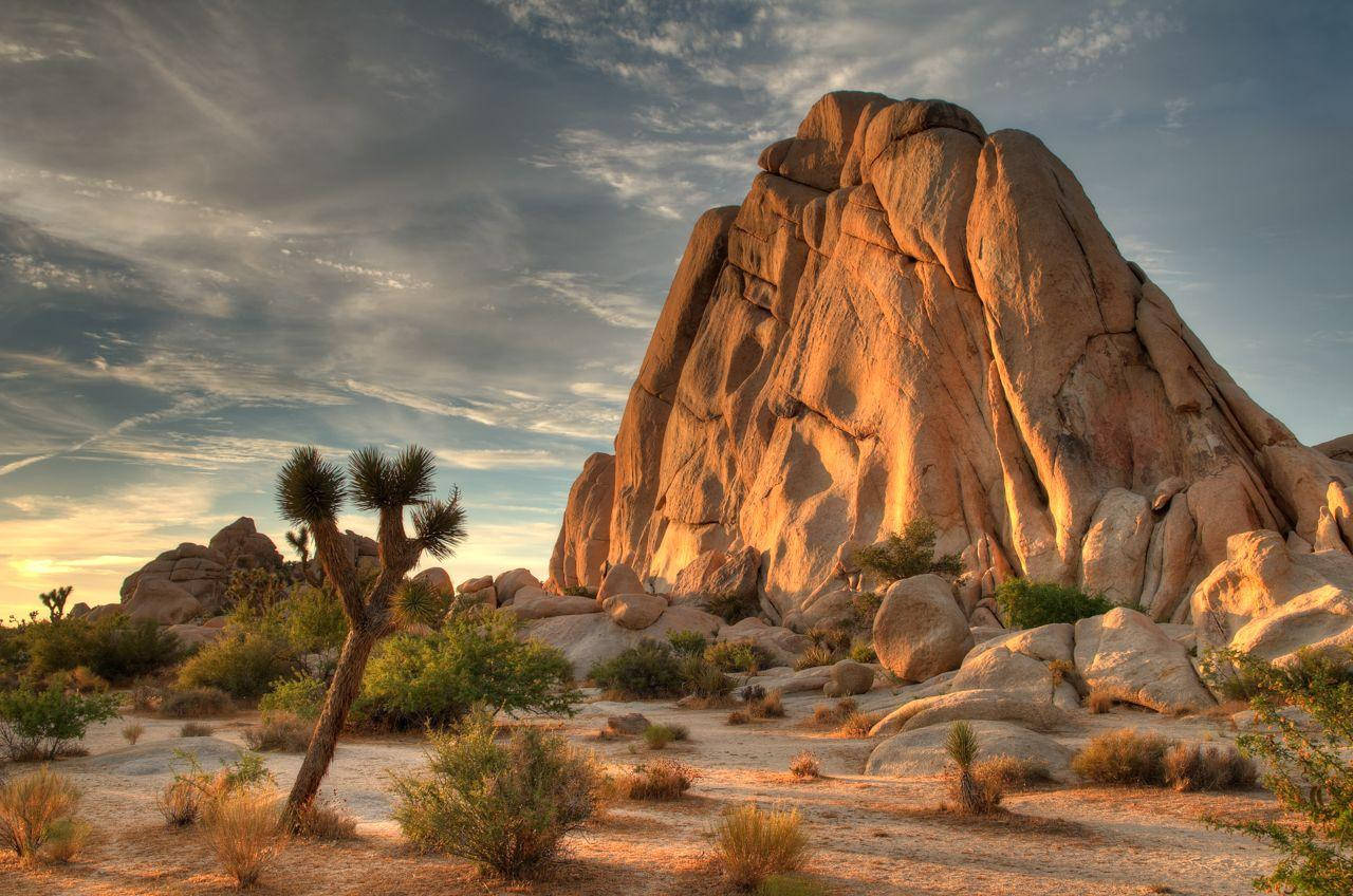 Joshua Tree National Park Butte Rock Background