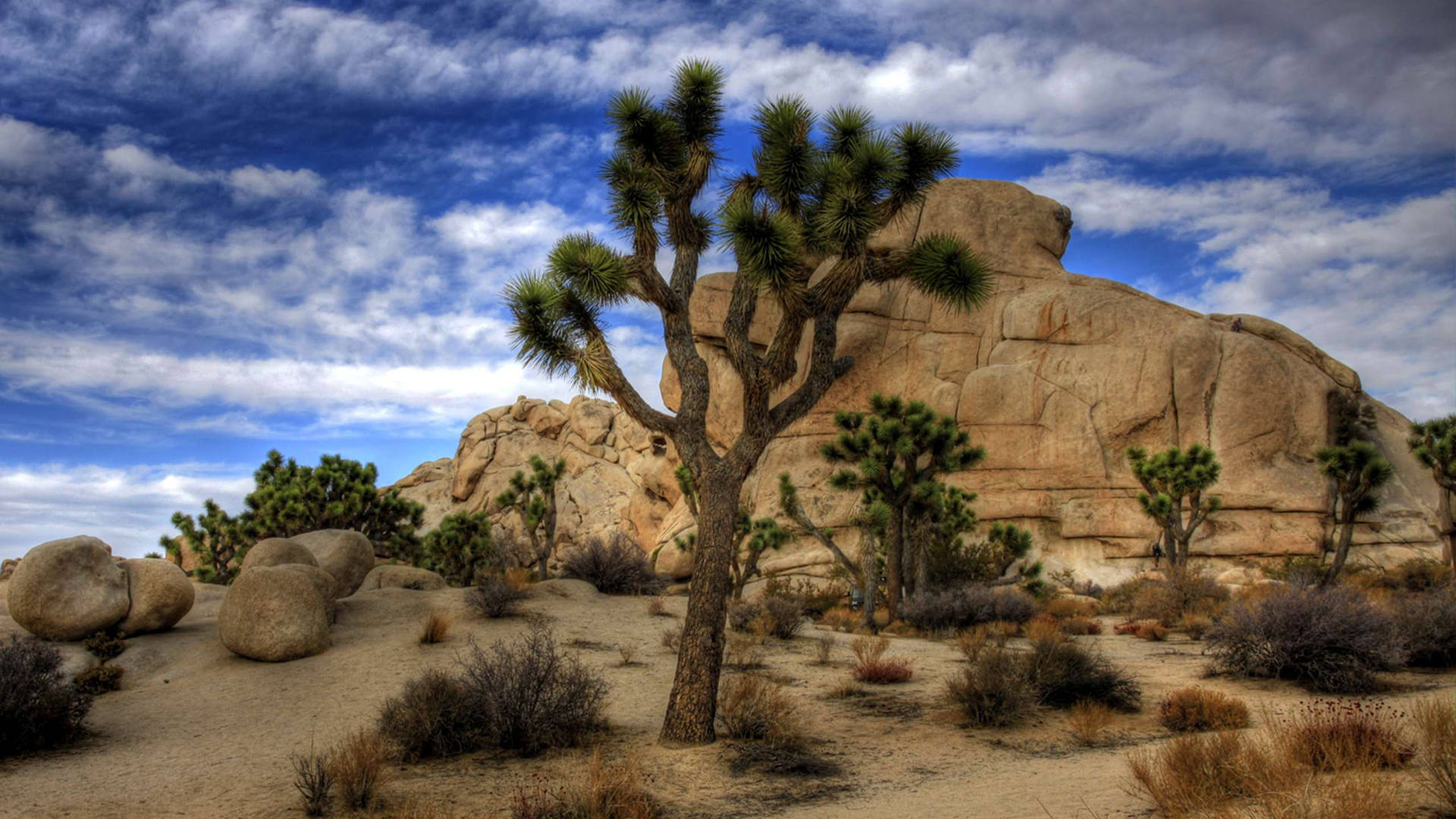 Joshua Tree National Park Darkish Clouds Background