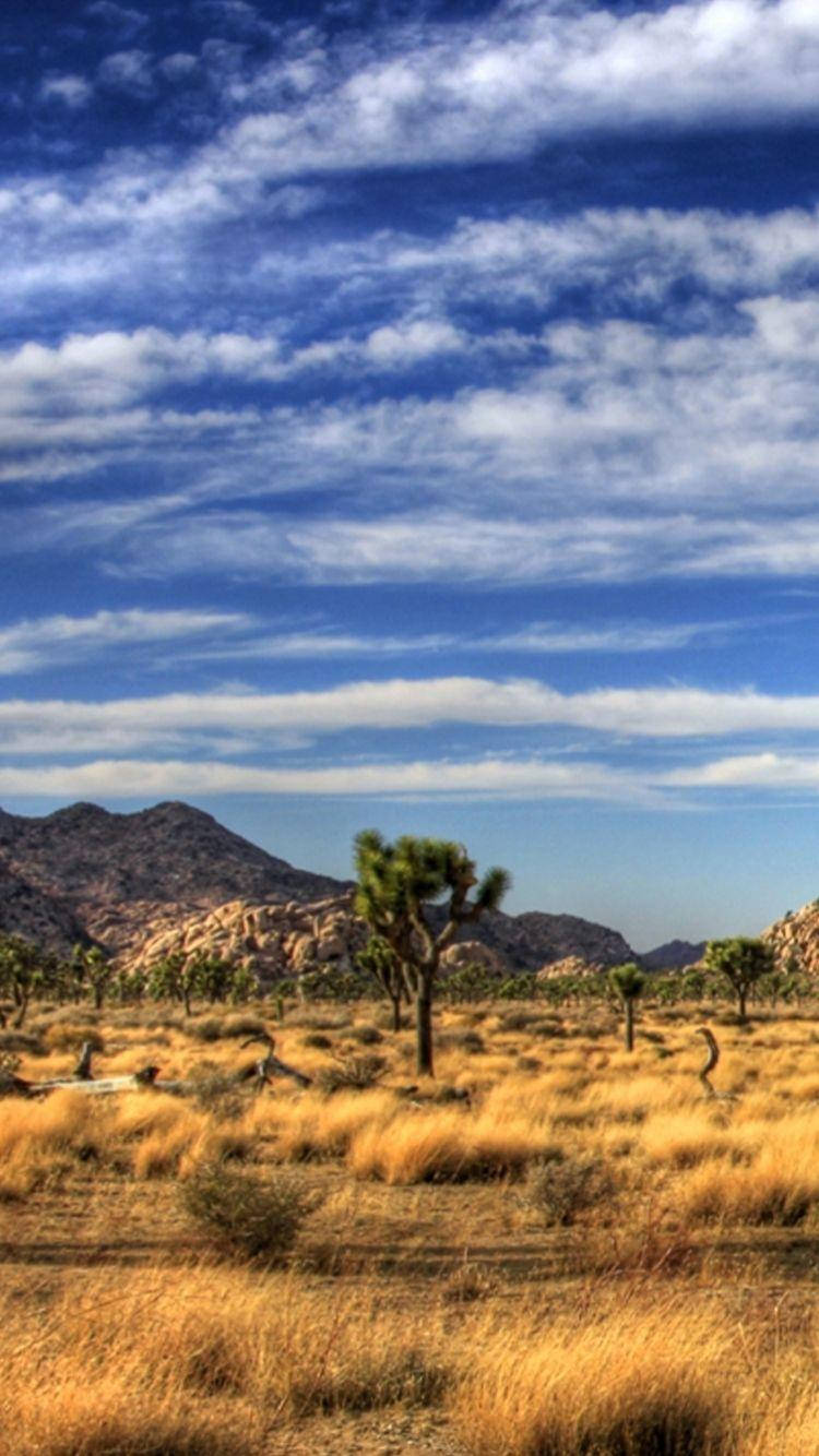 Joshua Tree National Park Long Clouds