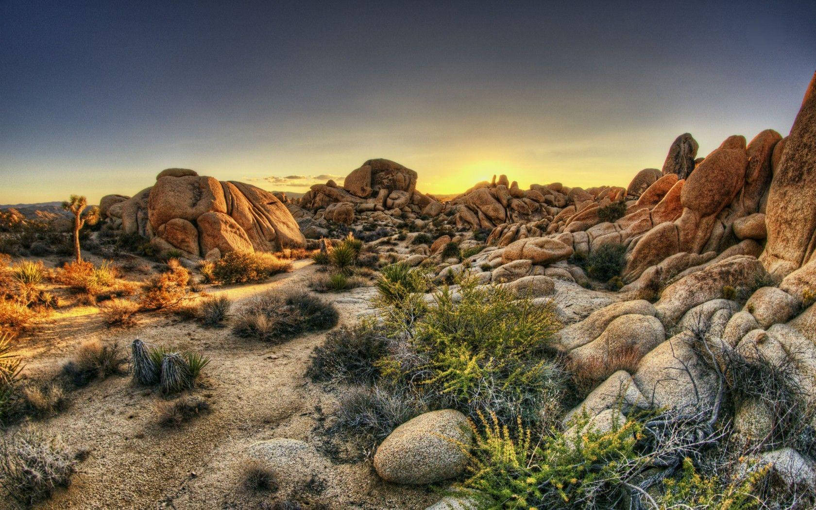 Joshua Tree National Park Many Rocks Background