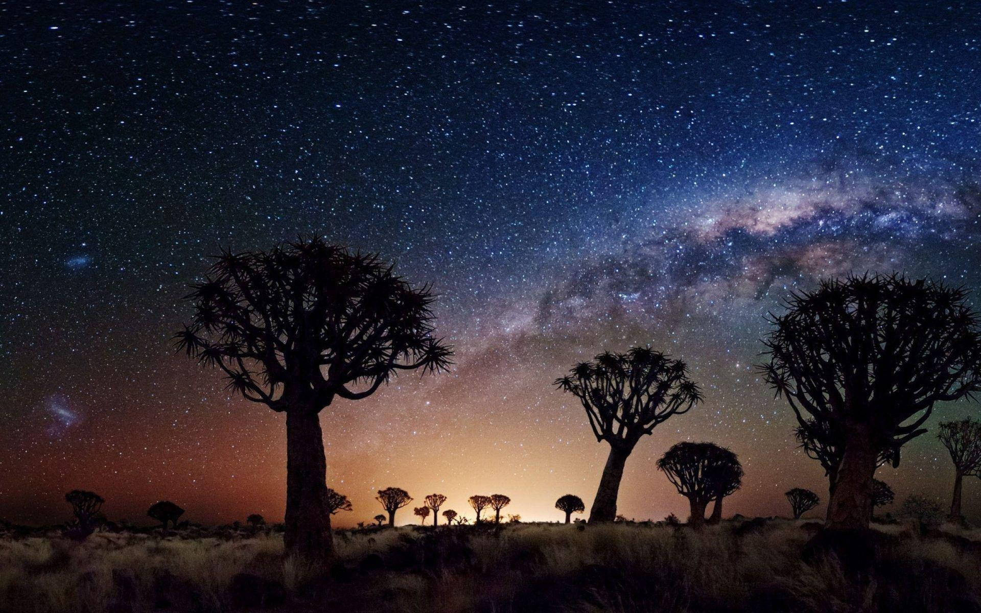 Joshua Tree National Park Milky Way Background