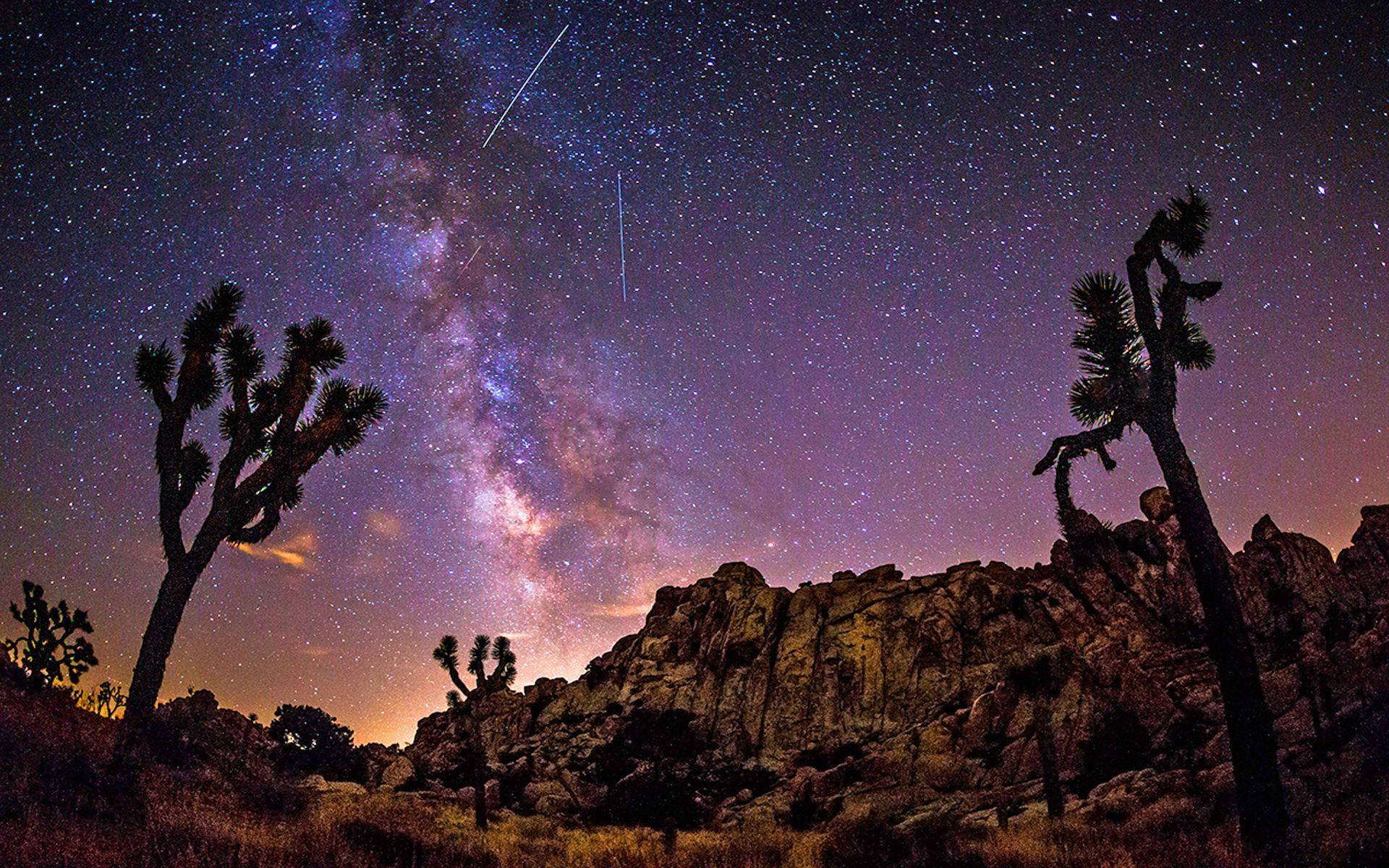 Joshua Tree National Park Purplish Night Sky Background