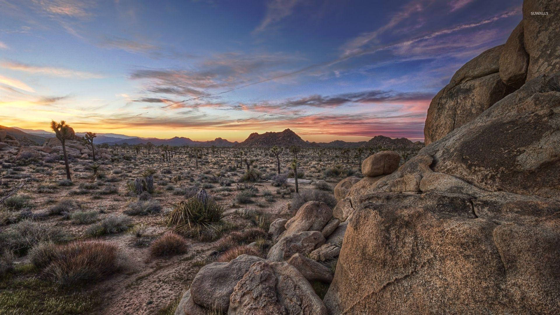 Joshua Tree National Park Rocks Sunset Background