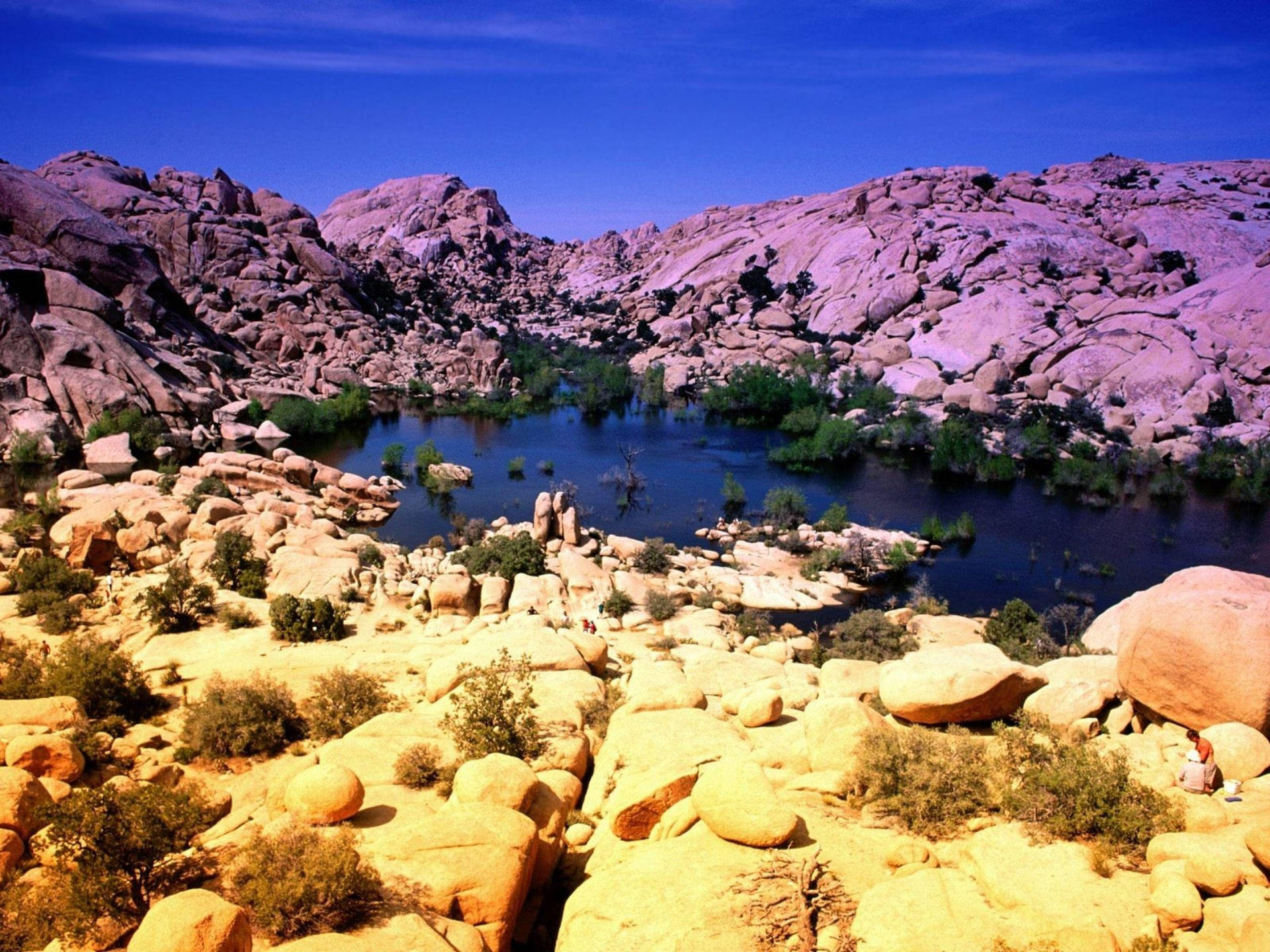 Joshua Tree National Park Small Lake Background