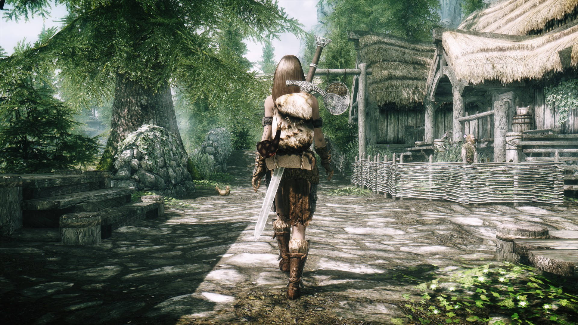 Journey Through The Breathtaking Skyrim Background