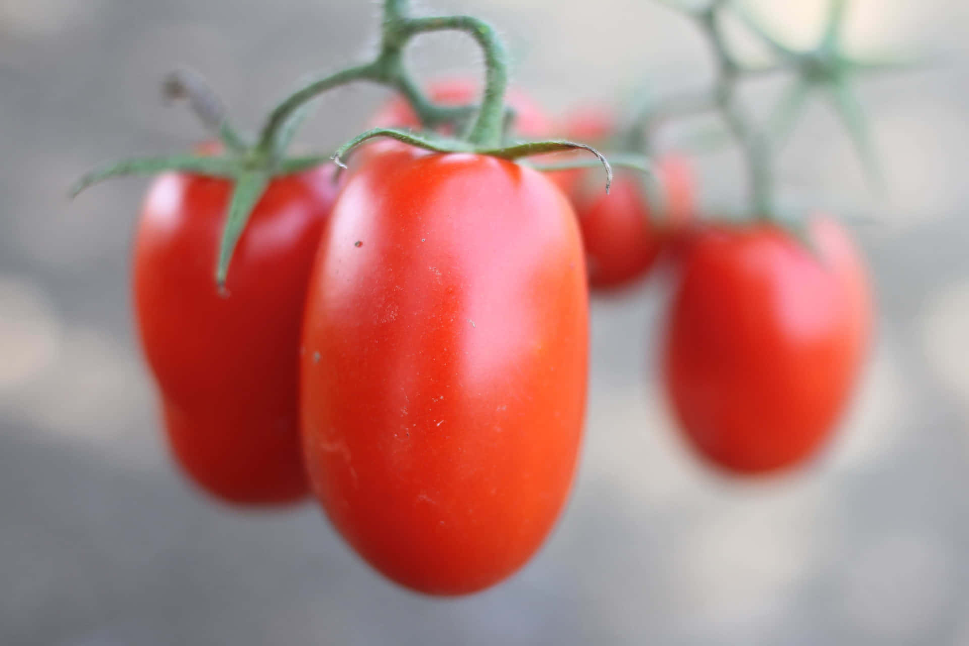 Jovial Foods Tomatoes Background