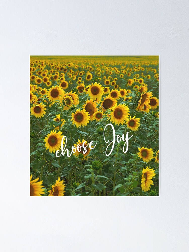 Joy In The Midst Of Sunflower Fields Background