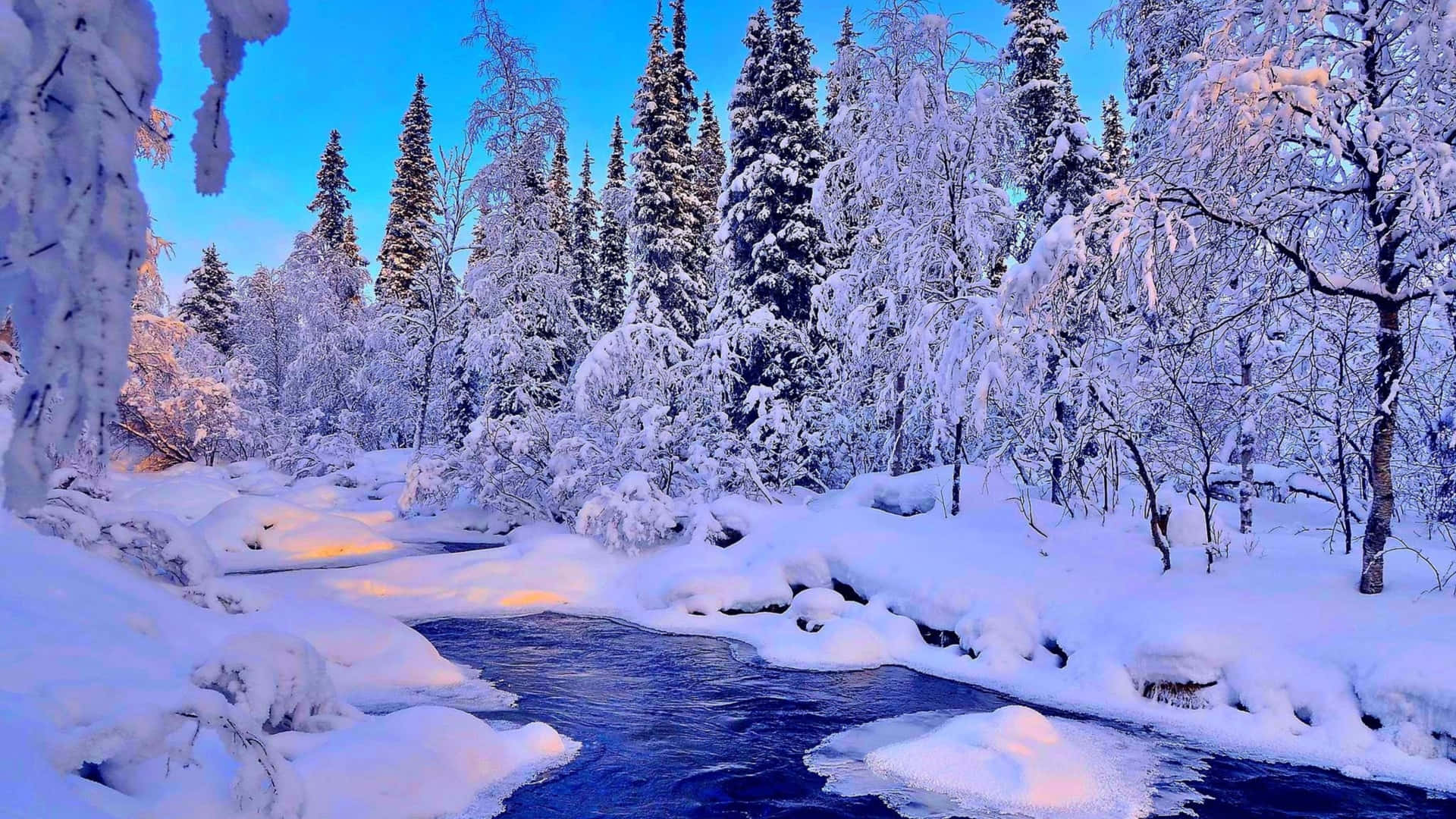 Joy Of Winter Background