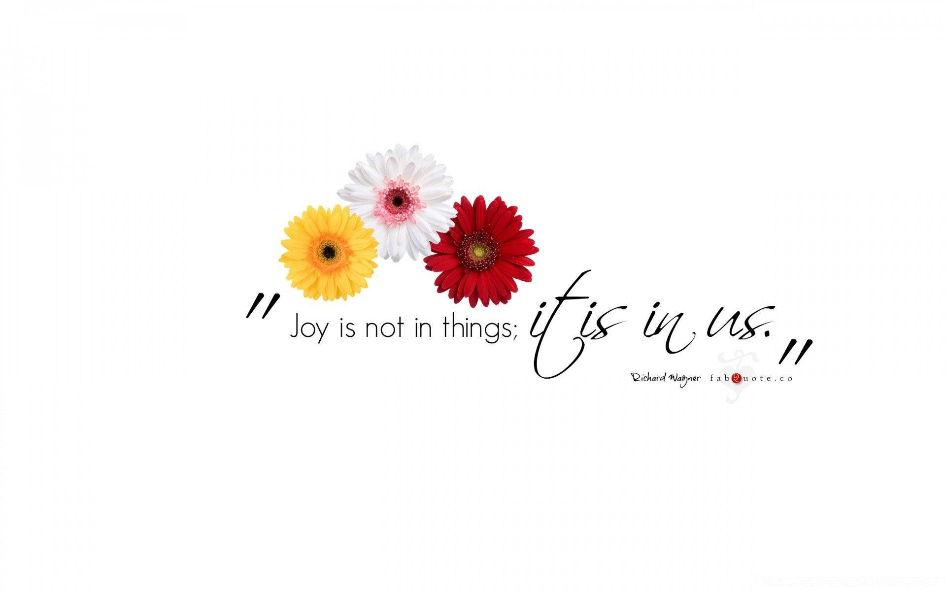 Joy Quote And Daisies Background