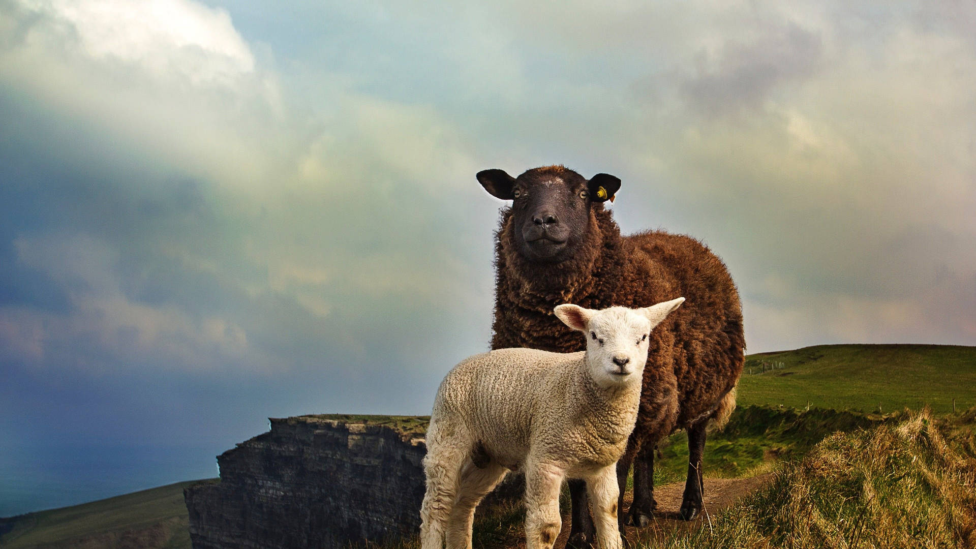 Joyful Mother With Her Child