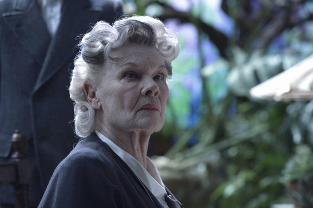 Judi Dench Radiates Elegance With Her Signature Hairstyle