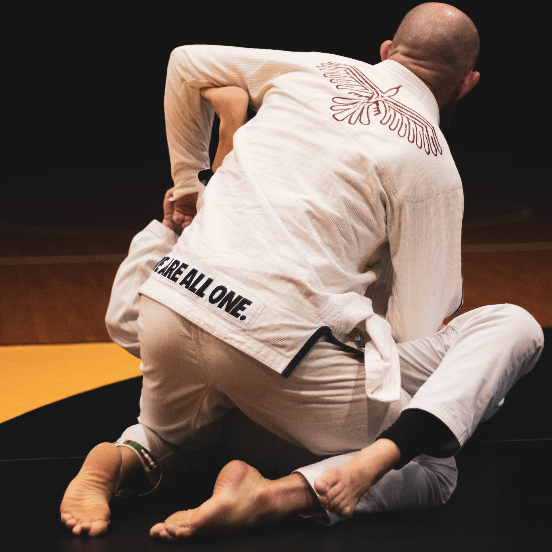 Judo Defense Techique