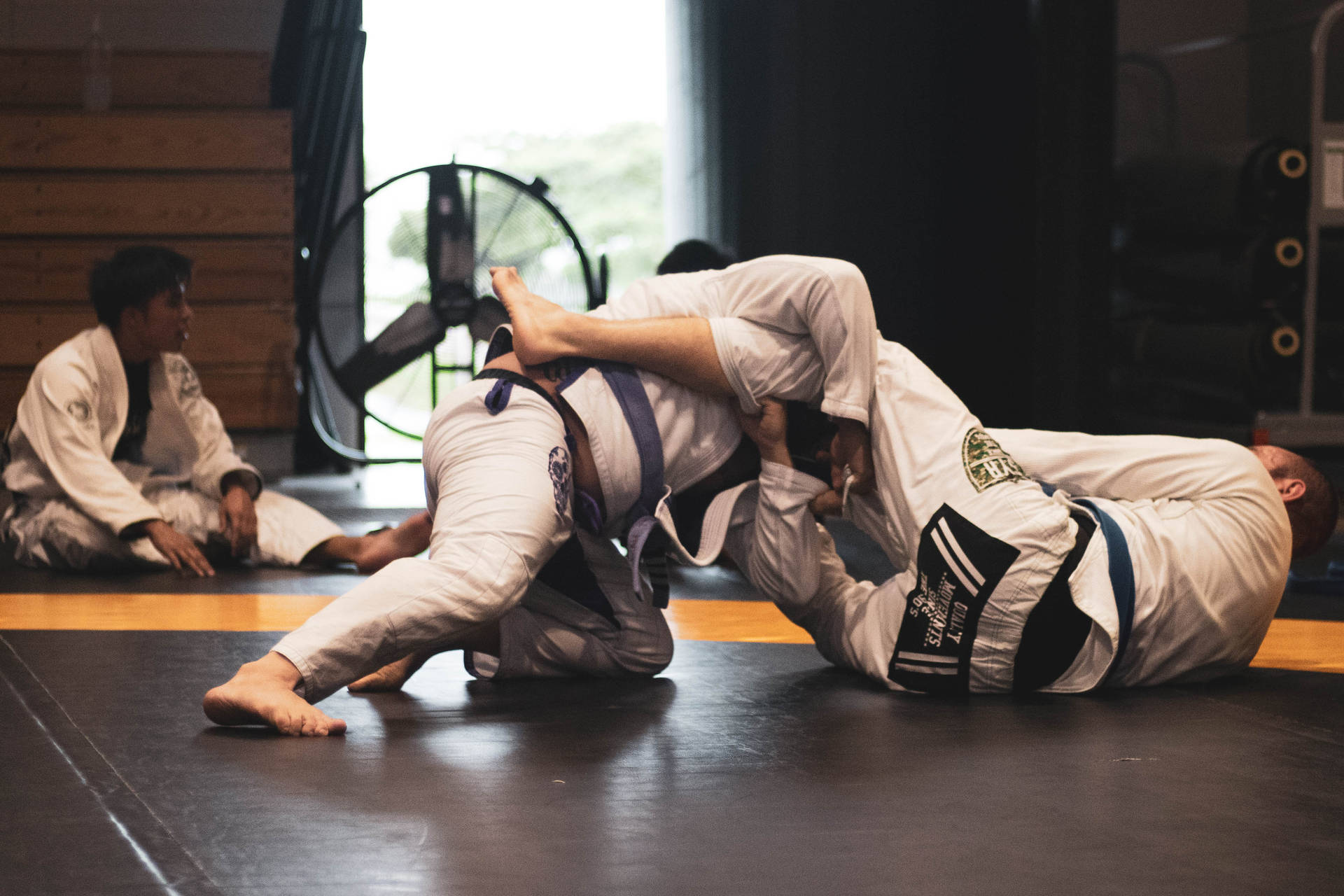 Judo Intense Fight