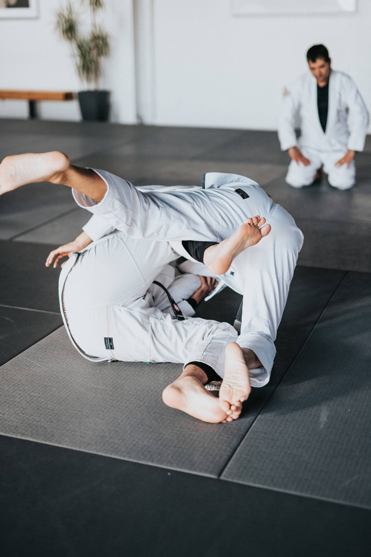 Judo Martial Artists