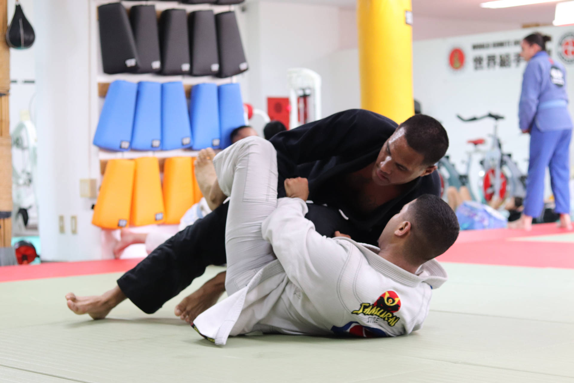Judo Martial Arts Background