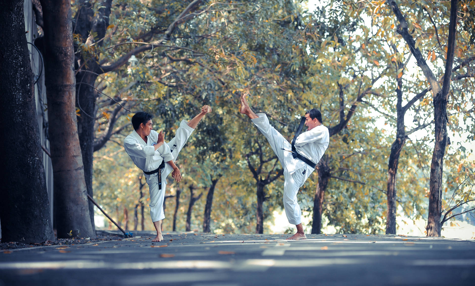 Judo With Nature Background