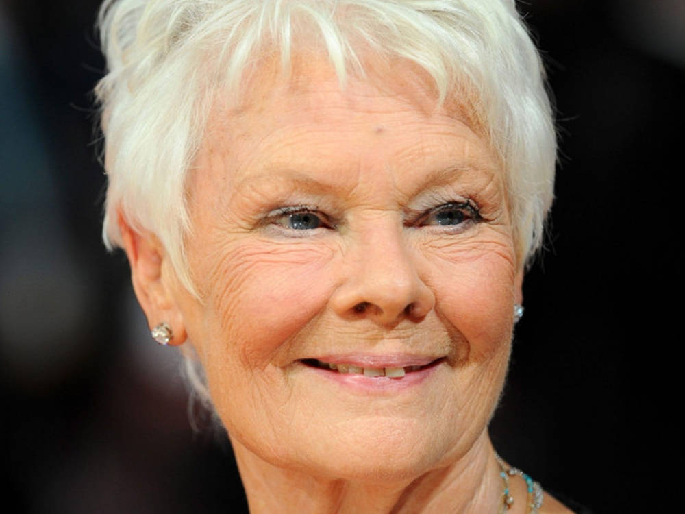 Judy Dench Beautiful Close Up Background