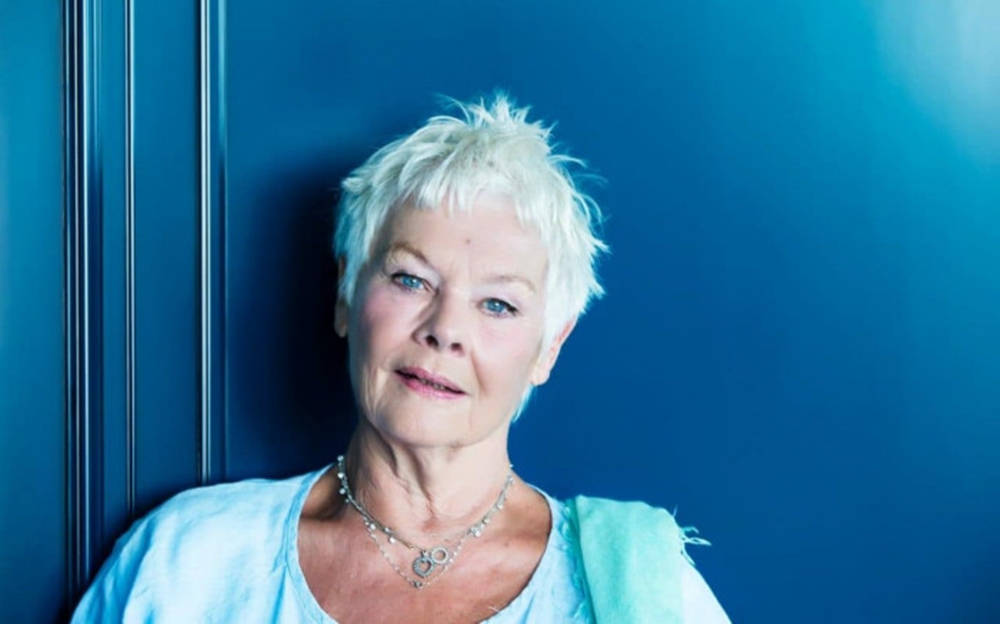 Judy Dench On Blue Wall Background