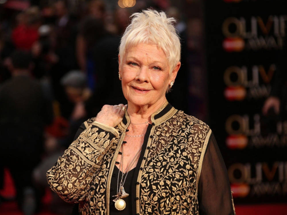 Judy Dench Red Carpet Event