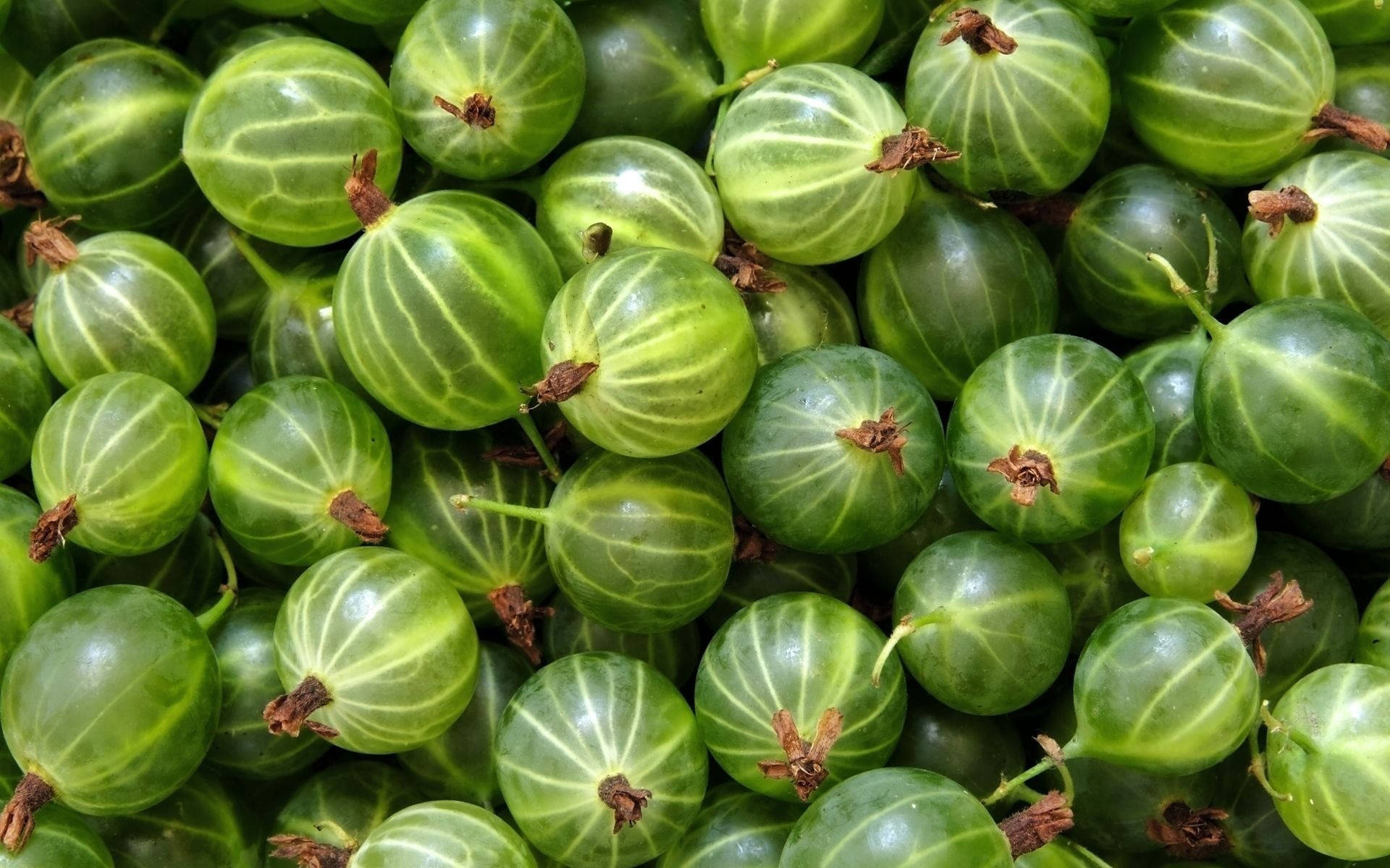 Juicy Green Burpee Gooseberry Fruit Background