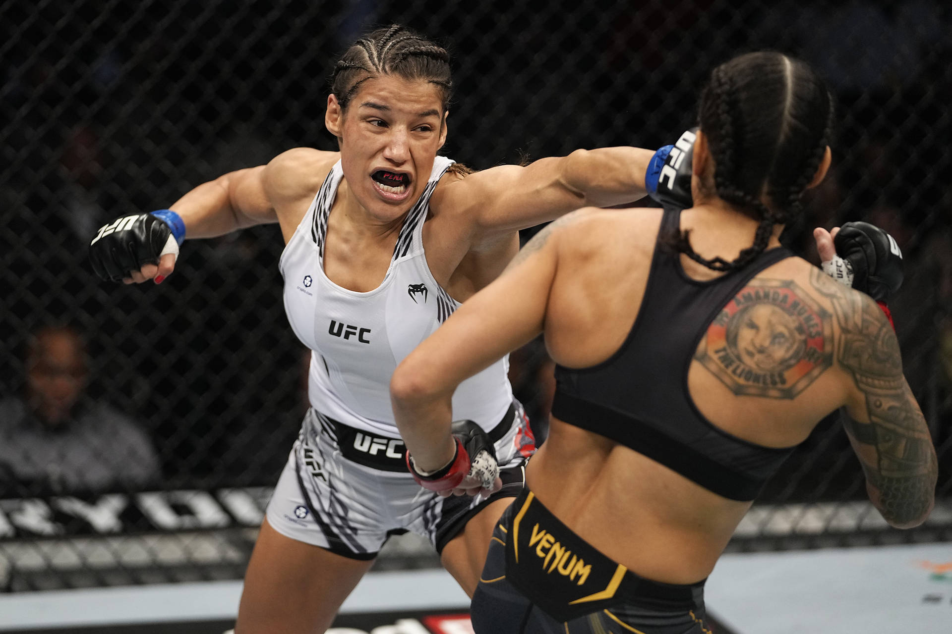 Julianna Peña Punching Amanda Nunes Background