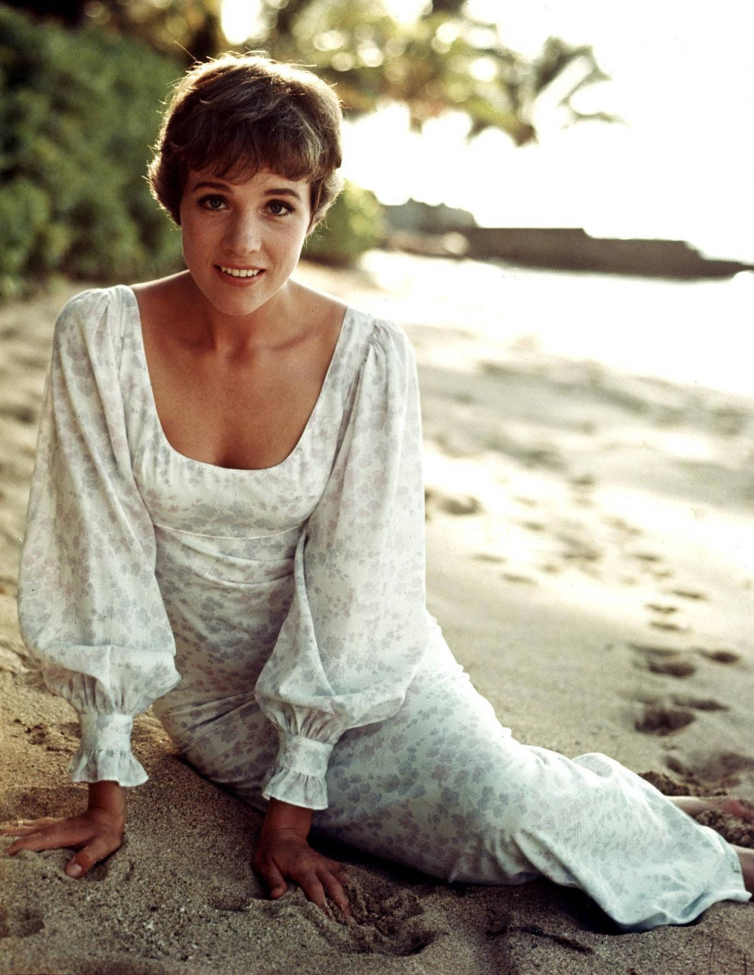 Julie Andrews On The Sand Background