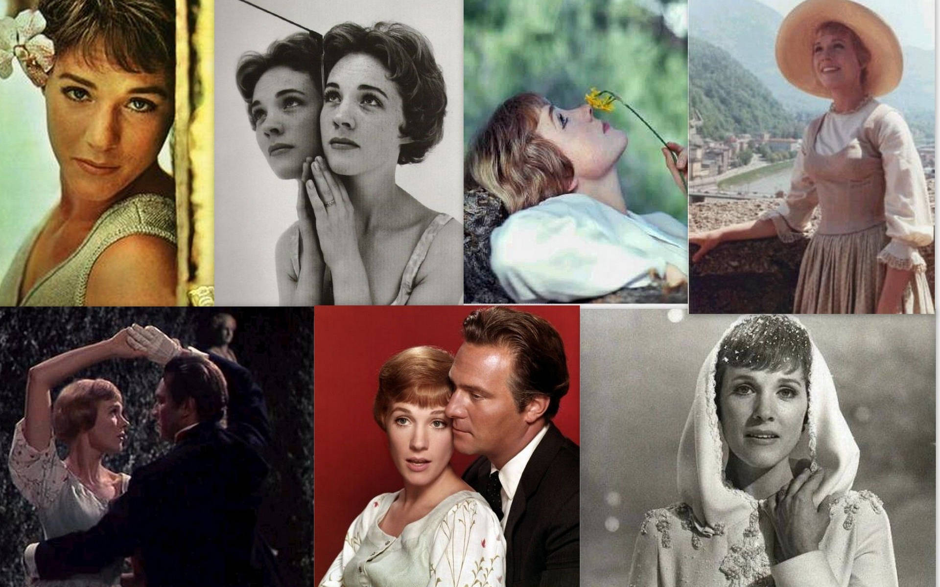 Julie Andrews Photo Collage Background