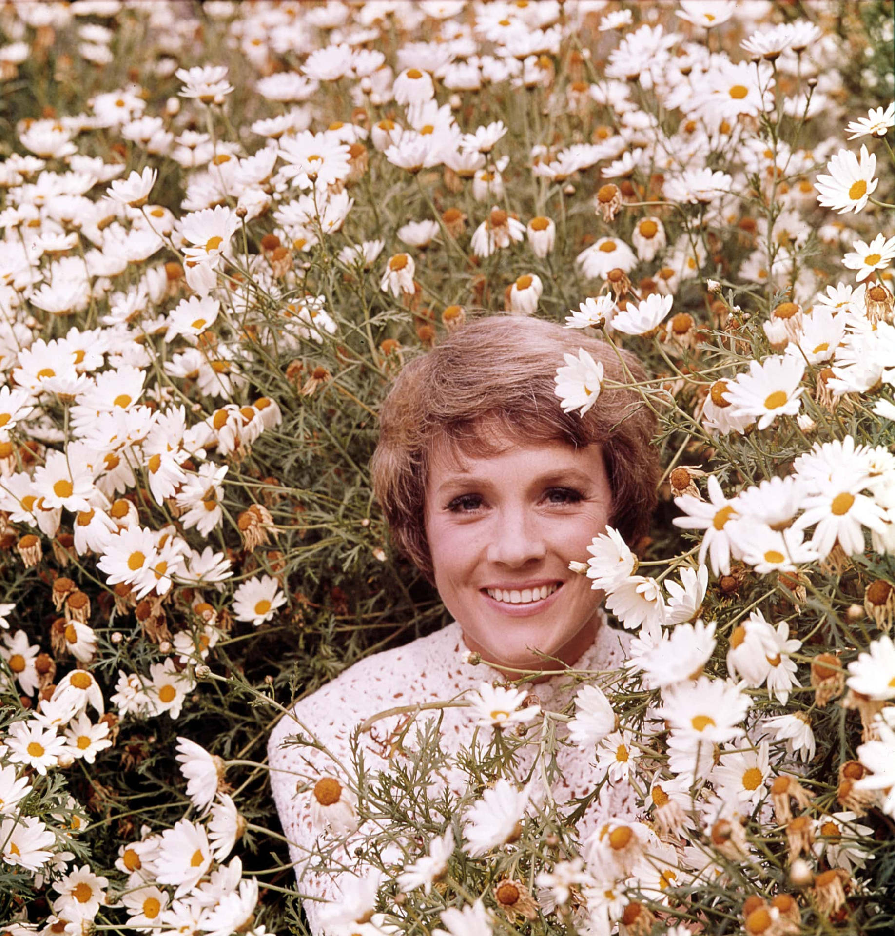 Julie Andrews With Daisies Background