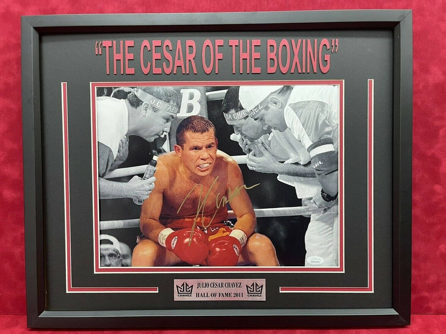 Julio Cesar Chavez Hall Of Fame