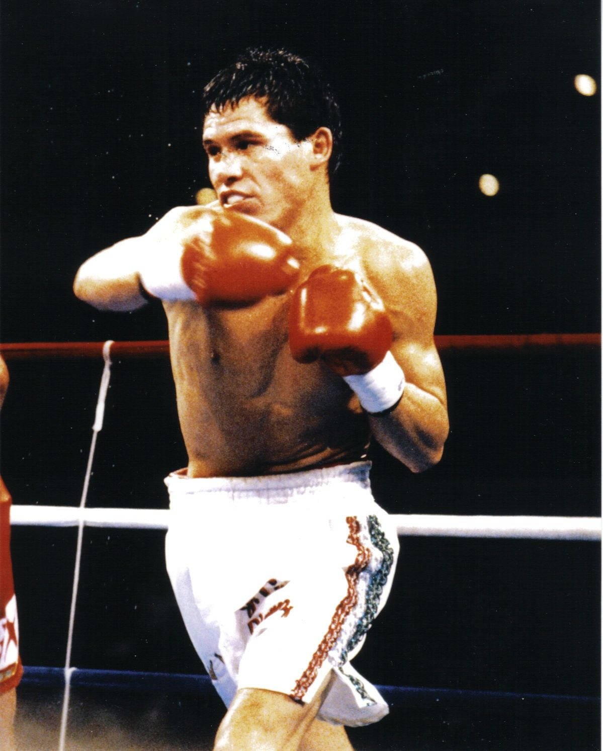 Julio Cesar Chavez Left Hook