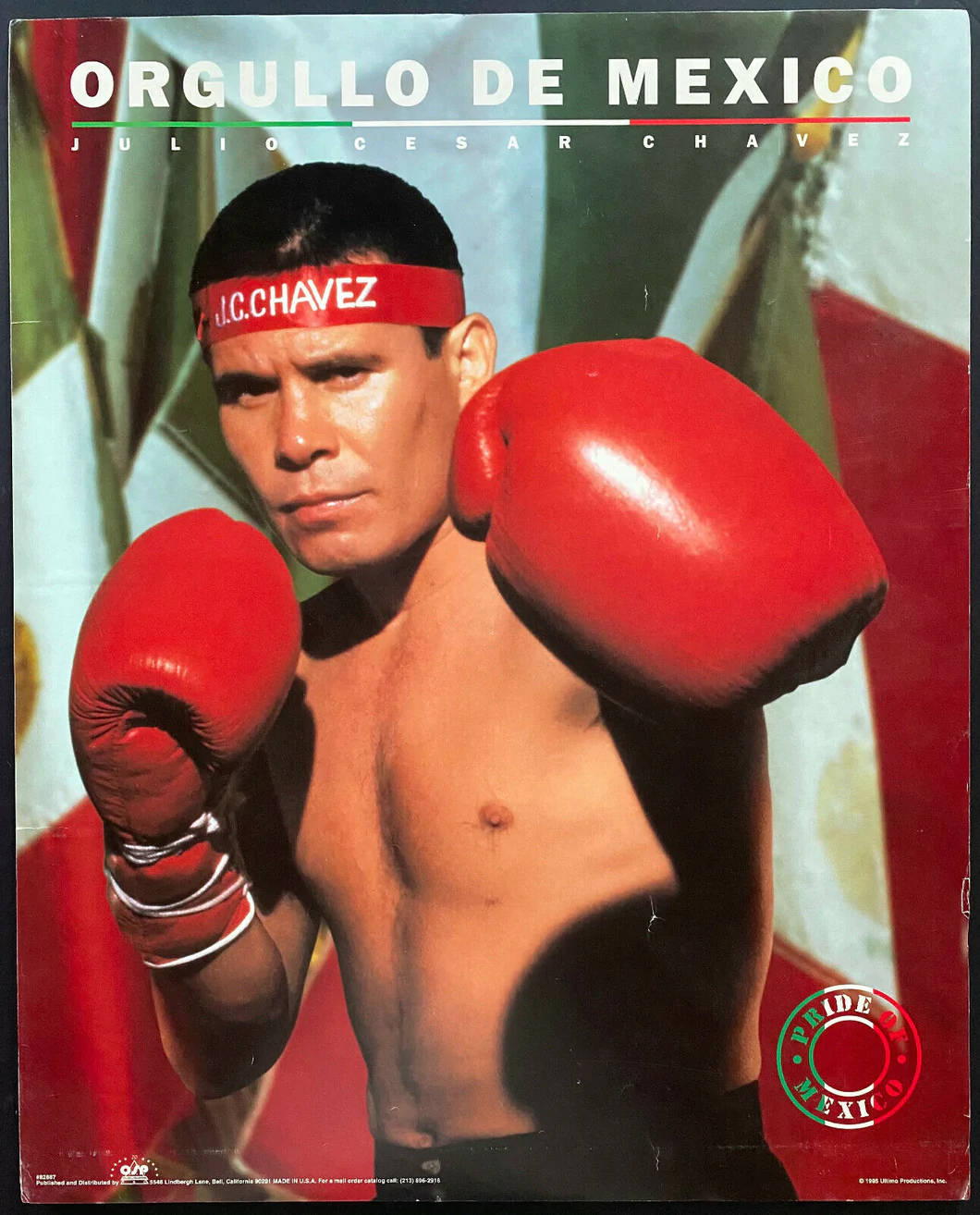 Julio Cesar Chavez Pride Of Mexico Background