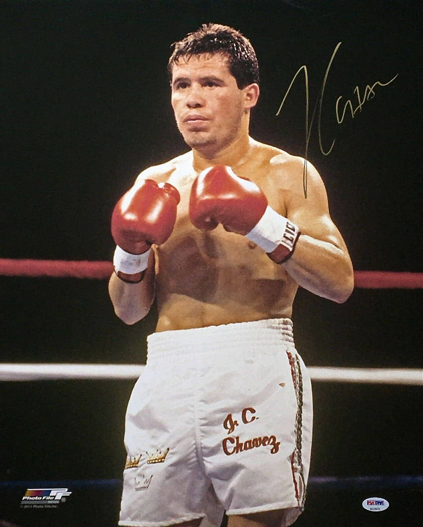 Julio Cesar Chavez Signature