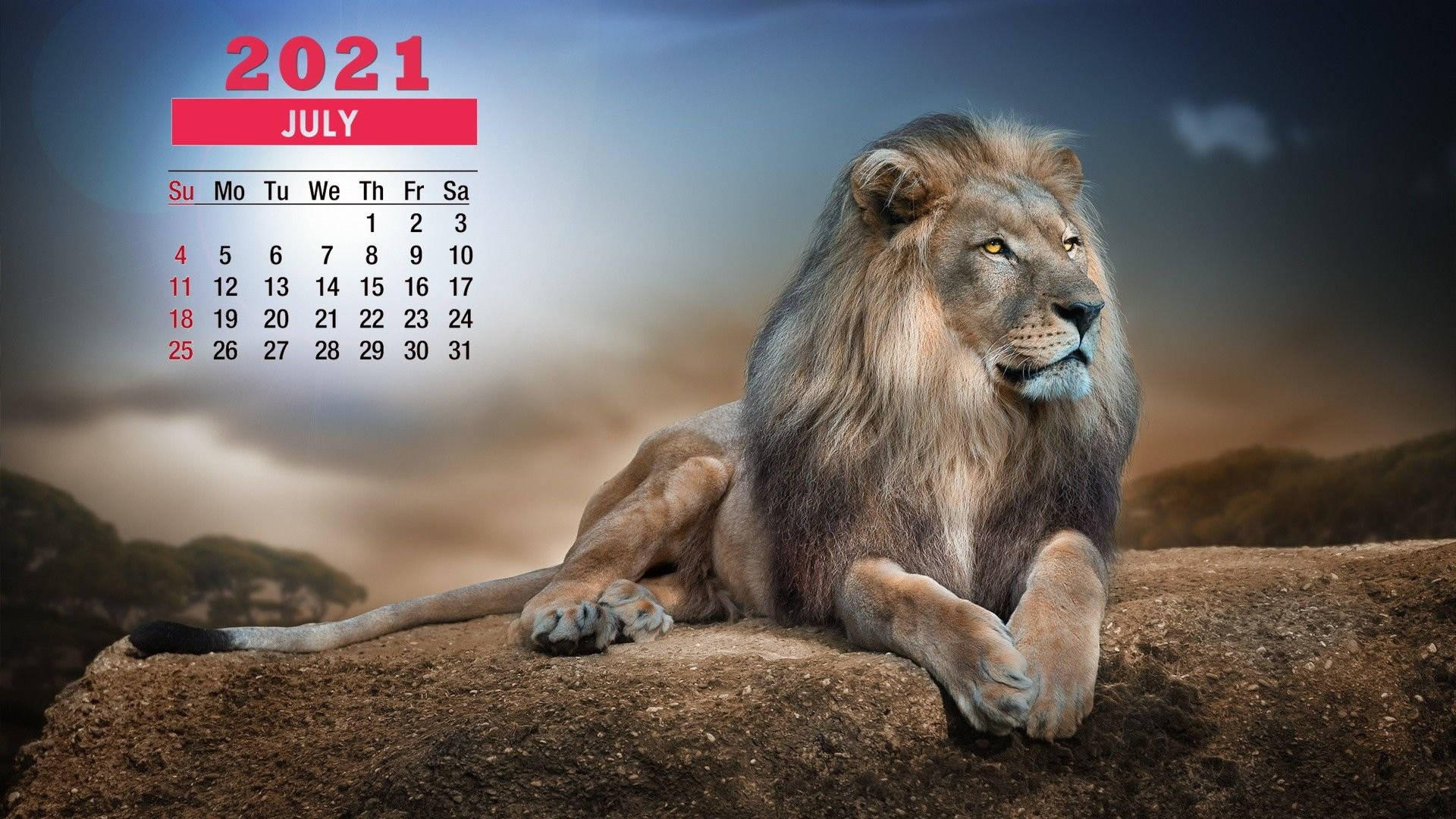 July 2021 Calendar With A Lion Background
